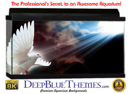 Buy Aquarium Background Black Heaven Aquarium Background