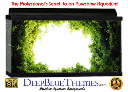 Buy Aquarium Background Black Hole Aquarium Background