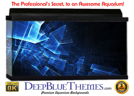 Buy Aquarium Background Black Ice Aquarium Background