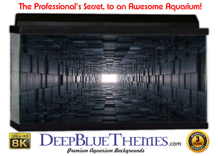 Buy Aquarium Background Black Launch Aquarium Background