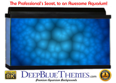 Buy Aquarium Background Black Lights Aquarium Background