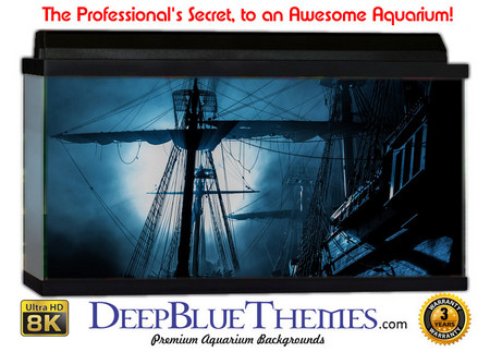 Buy Aquarium Background Black Mast Aquarium Background