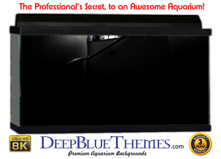 Buy Aquarium Background Black Mist Aquarium Background