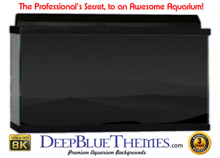 Buy Aquarium Background Black Night Aquarium Background