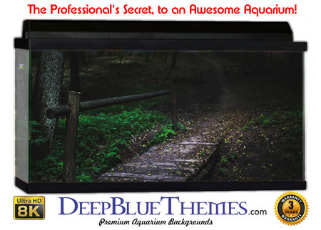 Buy Aquarium Background Black Path Aquarium Background