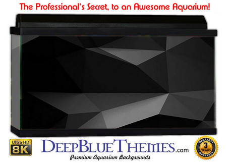 Buy Aquarium Background Black Poly Aquarium Background