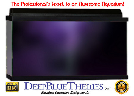 Buy Aquarium Background Black Purple Aquarium Background