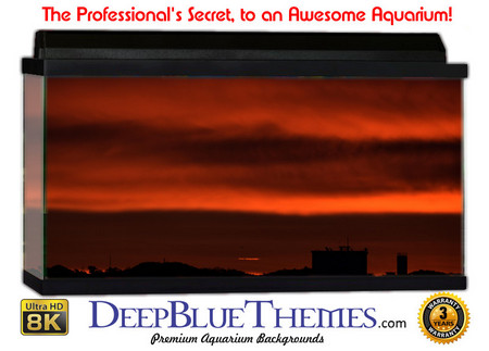 Buy Aquarium Background Black Red Aquarium Background