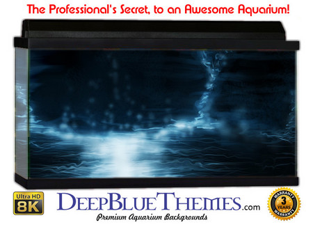 Buy Aquarium Background Black Shine Aquarium Background