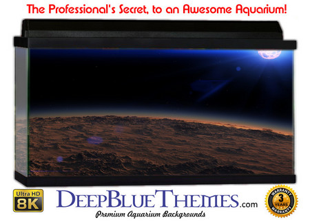 Buy Aquarium Background Black Star Aquarium Background