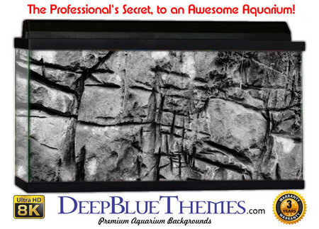 Buy Aquarium Background Black Wal Aquarium Background