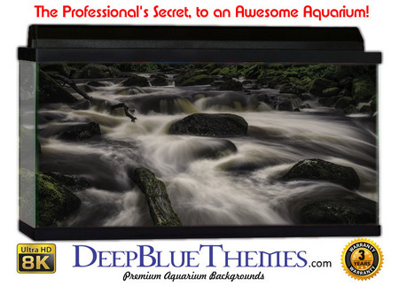 Buy Aquarium Background Black Water Aquarium Background