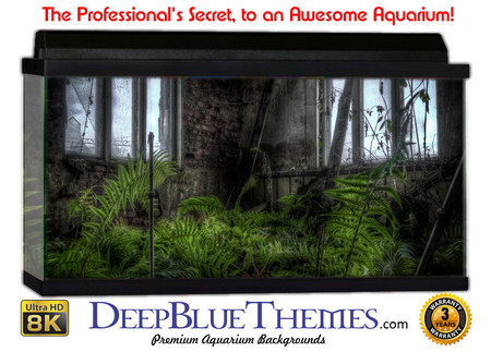 Buy Aquarium Background Black Windows Aquarium Background