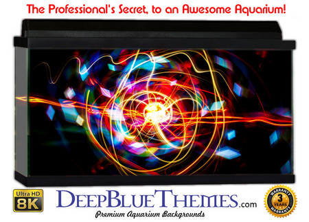 Buy Aquarium Background Black Zig Aquarium Background
