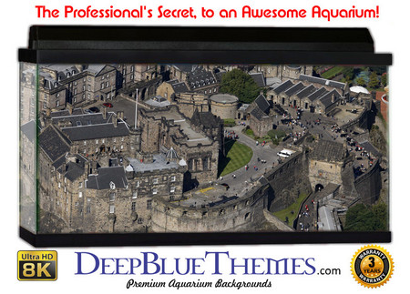 Buy Aquarium Background Castle Above Aquarium Background