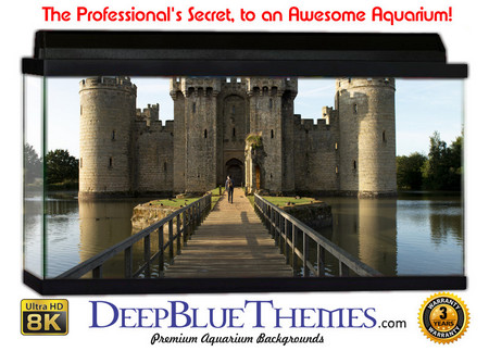 Buy Aquarium Background Castle Bridge Aquarium Background