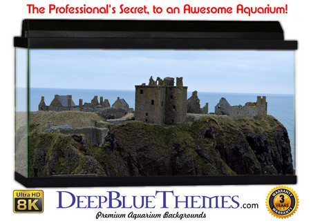 Buy Aquarium Background Castle Cliff Aquarium Background