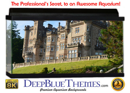 Buy Aquarium Background Castle Courtyard Aquarium Background