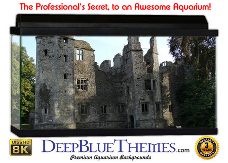 Buy Aquarium Background Castle Drive Aquarium Background
