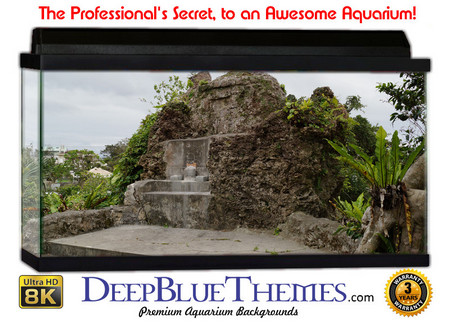 Buy Aquarium Background Castle End Aquarium Background