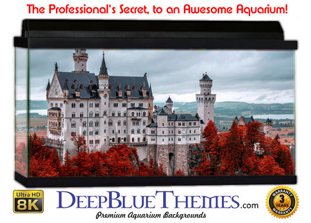 Buy Aquarium Background Castle Fall Aquarium Background