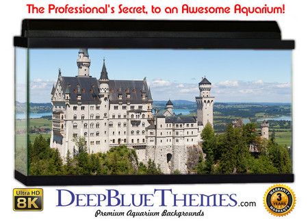 Buy Aquarium Background Castle German Aquarium Background
