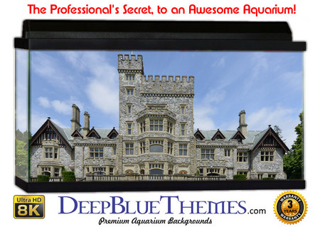 Buy Aquarium Background Castle Hatley Aquarium Background