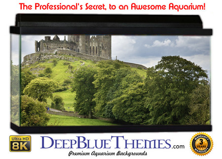 Buy Aquarium Background Castle Ireland Aquarium Background