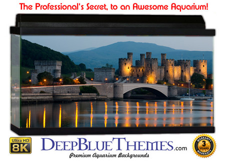 Buy Aquarium Background Castle Lights Aquarium Background