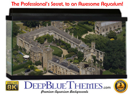 Buy Aquarium Background Castle Lot Aquarium Background