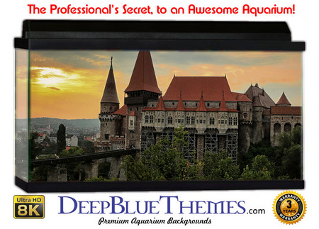 Buy Aquarium Background Castle Luxe Aquarium Background
