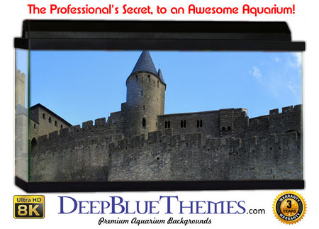 Buy Aquarium Background Castle Panorama Aquarium Background