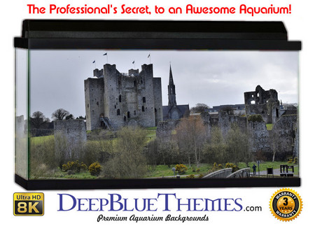 Buy Aquarium Background Castle Path Aquarium Background