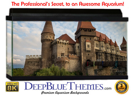 Buy Aquarium Background Castle Peak Aquarium Background