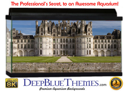 Buy Aquarium Background Castle Perfect Aquarium Background