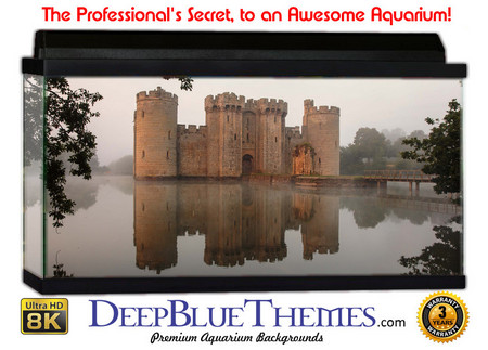 Buy Aquarium Background Castle Reflect Aquarium Background