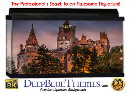 Buy Aquarium Background Castle Spooky Aquarium Background