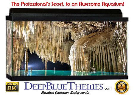 Buy Aquarium Background Cave Awesome Aquarium Background