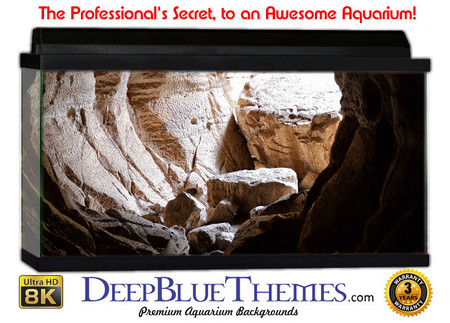 Buy Aquarium Background Cave Exit Aquarium Background