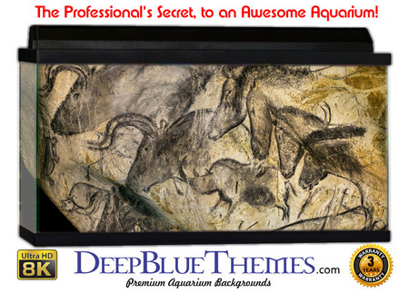 Buy Aquarium Background Cave Human Aquarium Background