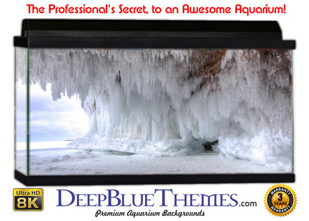 Buy Aquarium Background Cave Ice Aquarium Background