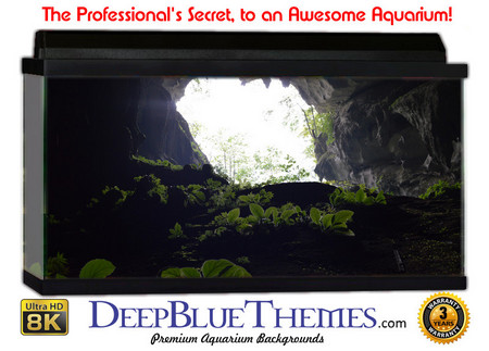 Buy Aquarium Background Cave Opening Aquarium Background
