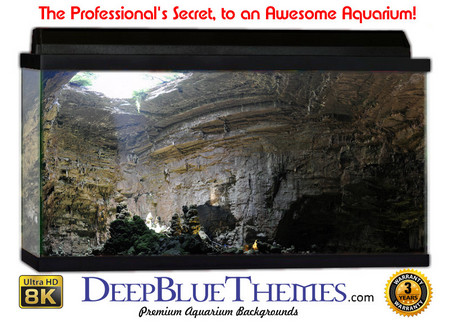 Buy Aquarium Background Cave Roof Aquarium Background