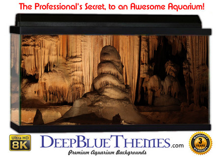 Buy Aquarium Background Cave Tower Aquarium Background