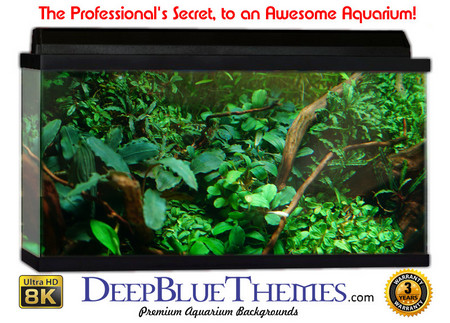 Buy Aquarium Background Classic Greens Aquarium Background