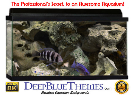 Buy Aquarium Background Classic Hard Aquarium Background