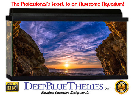 Buy Aquarium Background Classic Hole Aquarium Background