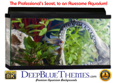 Buy Aquarium Background Classic Jaw Aquarium Background