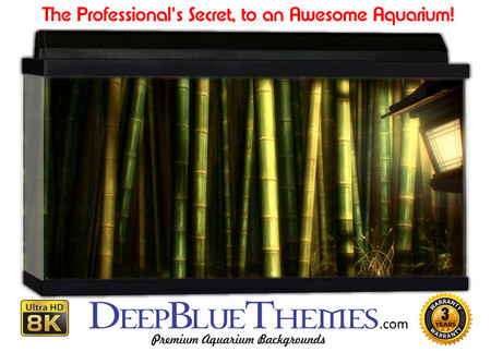 Buy Aquarium Background Classic Lantern Aquarium Background