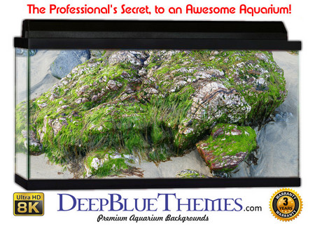 Buy Aquarium Background Classic Moss Aquarium Background